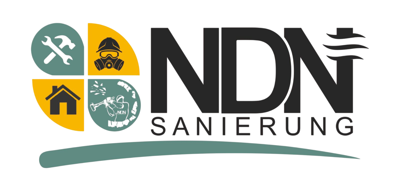 NDN Logo